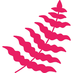 Badgerface Beauty Supply's skincare products are made with all-natural ingredients.